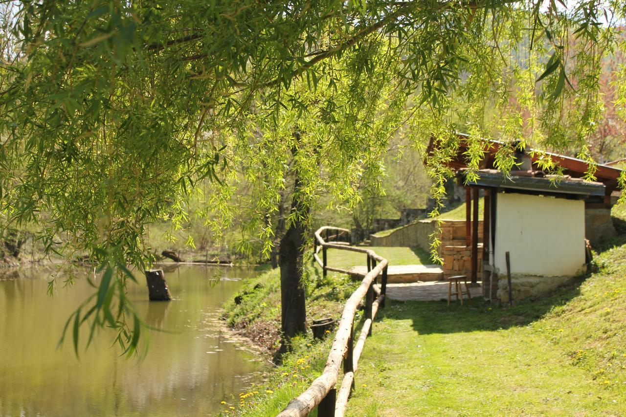 Villa Lavanda เอเลนา ภายนอก รูปภาพ
